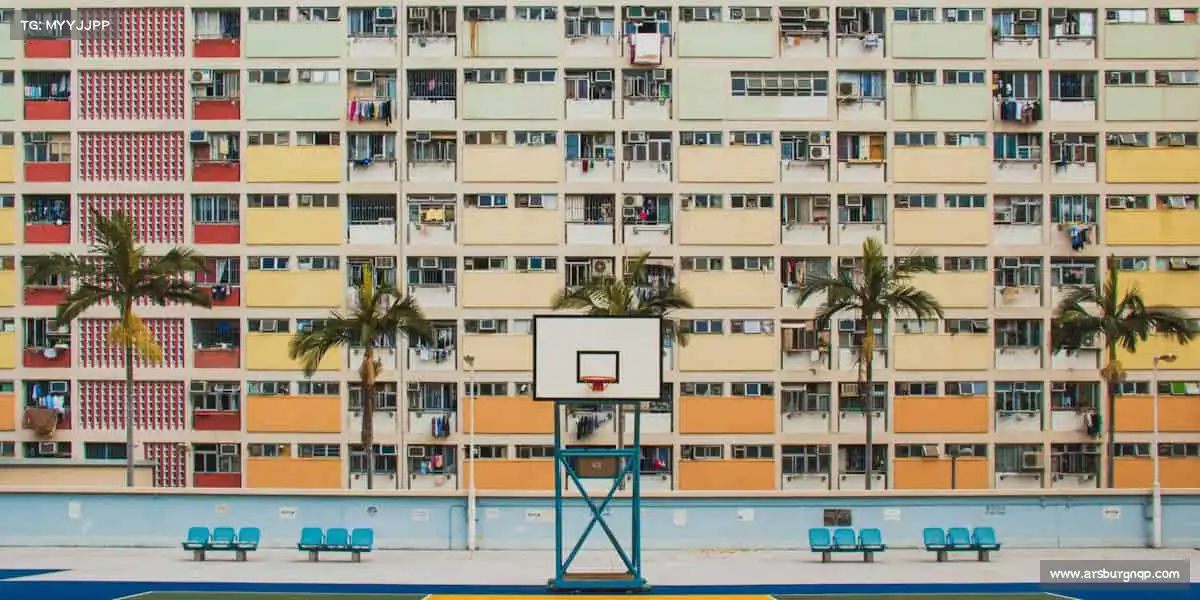 安博电竞——以运动为帆，驶向健康活力新起点！🏀